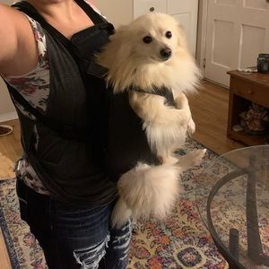 Dog Carrying Harness